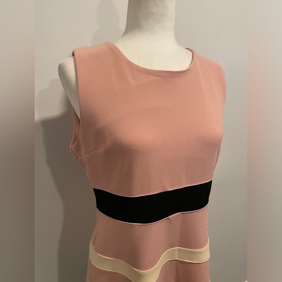 Suzanne Betro Sleeveless Dress - Picture 4 of 6